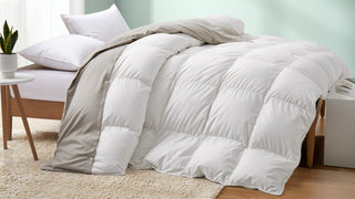 Experience Year-Round Comfort With the Puredown All Seasons Down Comforter with Removable Dustproof Cover