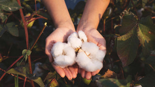 Organic Cotton – Better for the Planet, and Better for You