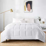 All Season Down Alternative Duvet Insert Comforter with Soft Microfiber Shell