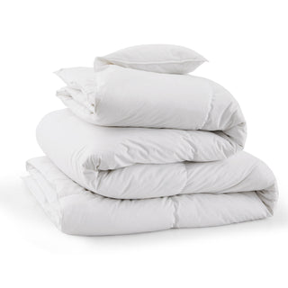 This all-size comforter is brushed in the pleasing color of white. Incorporate contemporary home trends and give your room a fresh makeover with our exquisite range of white duvet insert comforters.