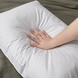 2 Pack Classic Goose Feather Bed Pillows with Soft Cover