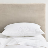 Made in Germany European Down Pillow