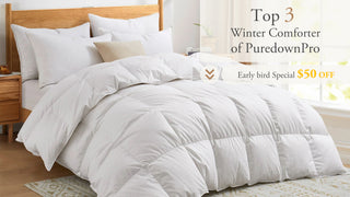 Snuggle up in Style: Explore Our Irresistible Collection of Cozy Comforters