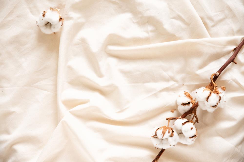 Dive Into Comfort: Our Organic Cotton Collection