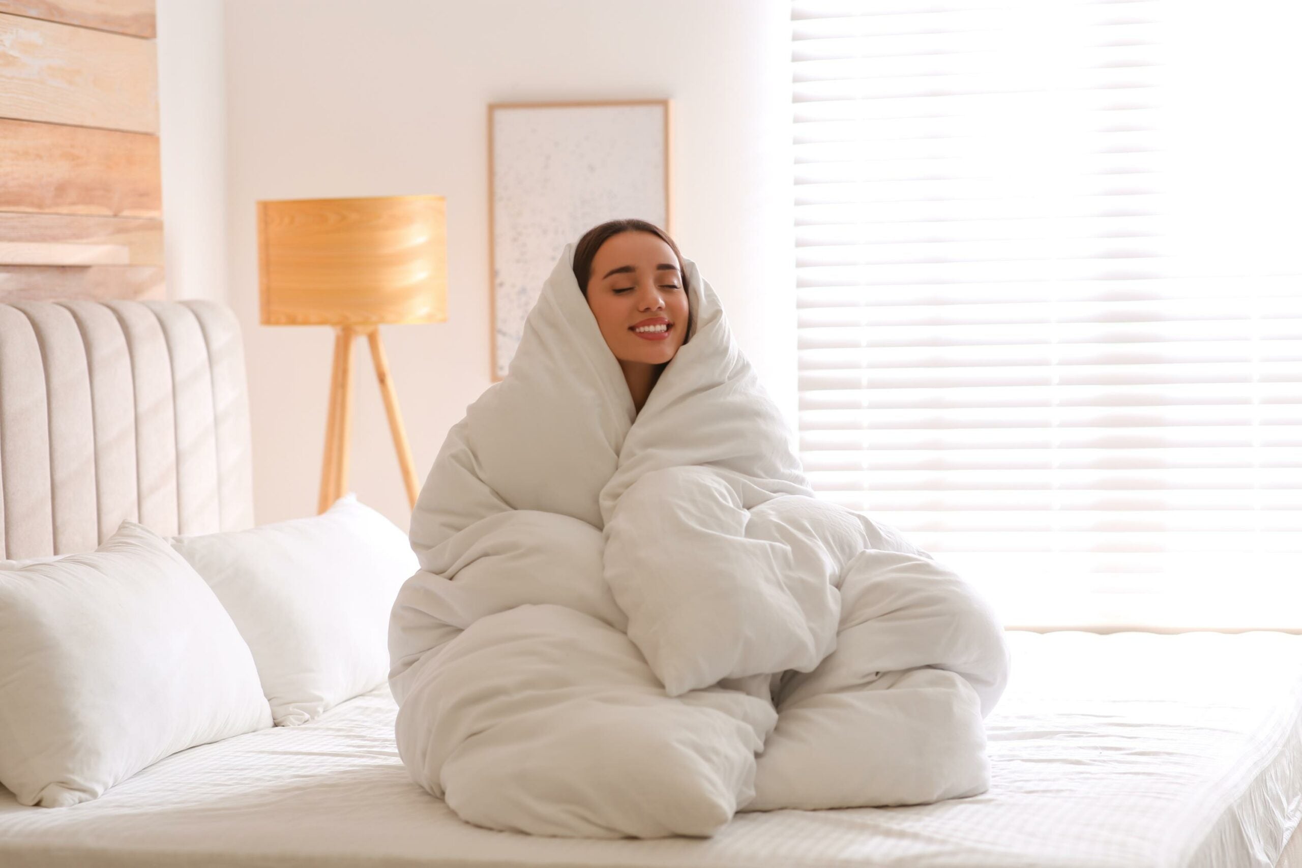Puredown White Goose Feather and Down Comforter