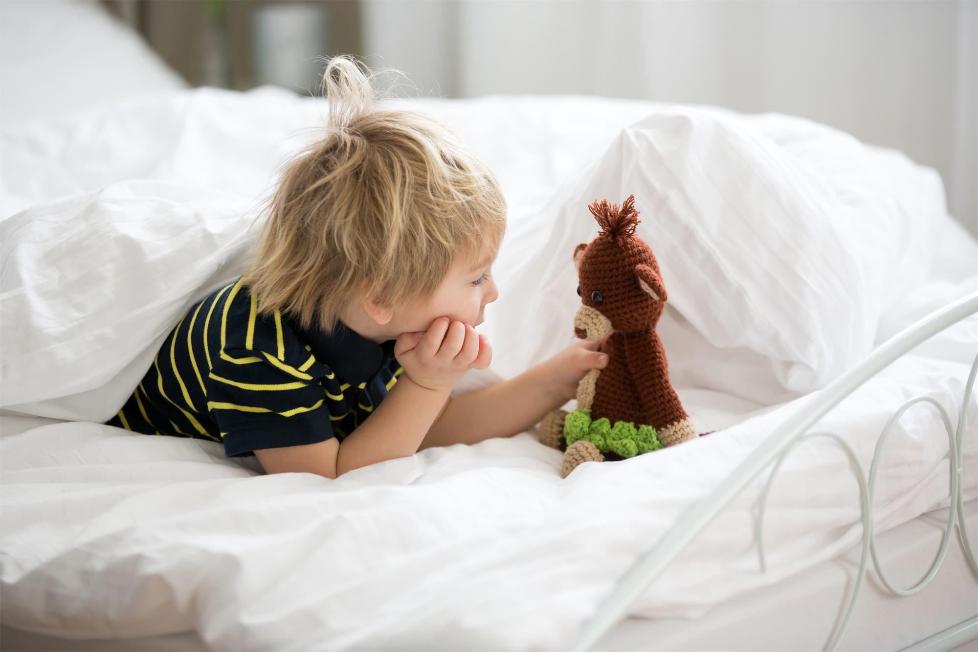 Sleeping Sustainably: How Puredown Bedding Products Help Reduce Your Carbon Footprint