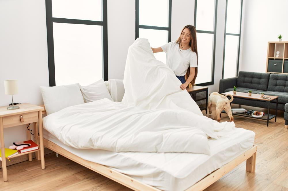 Exploring the Layers: An In-Depth Guide to Bedding Components