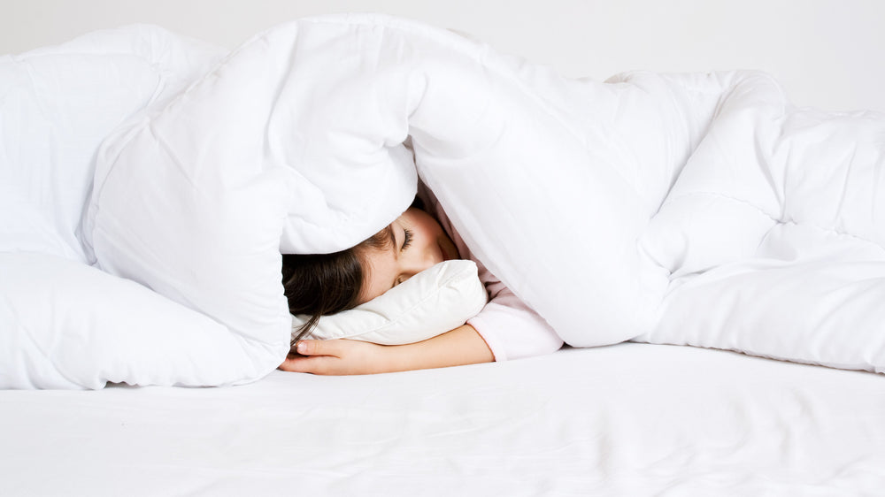 Down vs. Down Alternative Comforter Learn the Difference Puredown