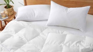 Superior Softness, Warmth, and Comfort: Puredown’s Feather and Down Comforter