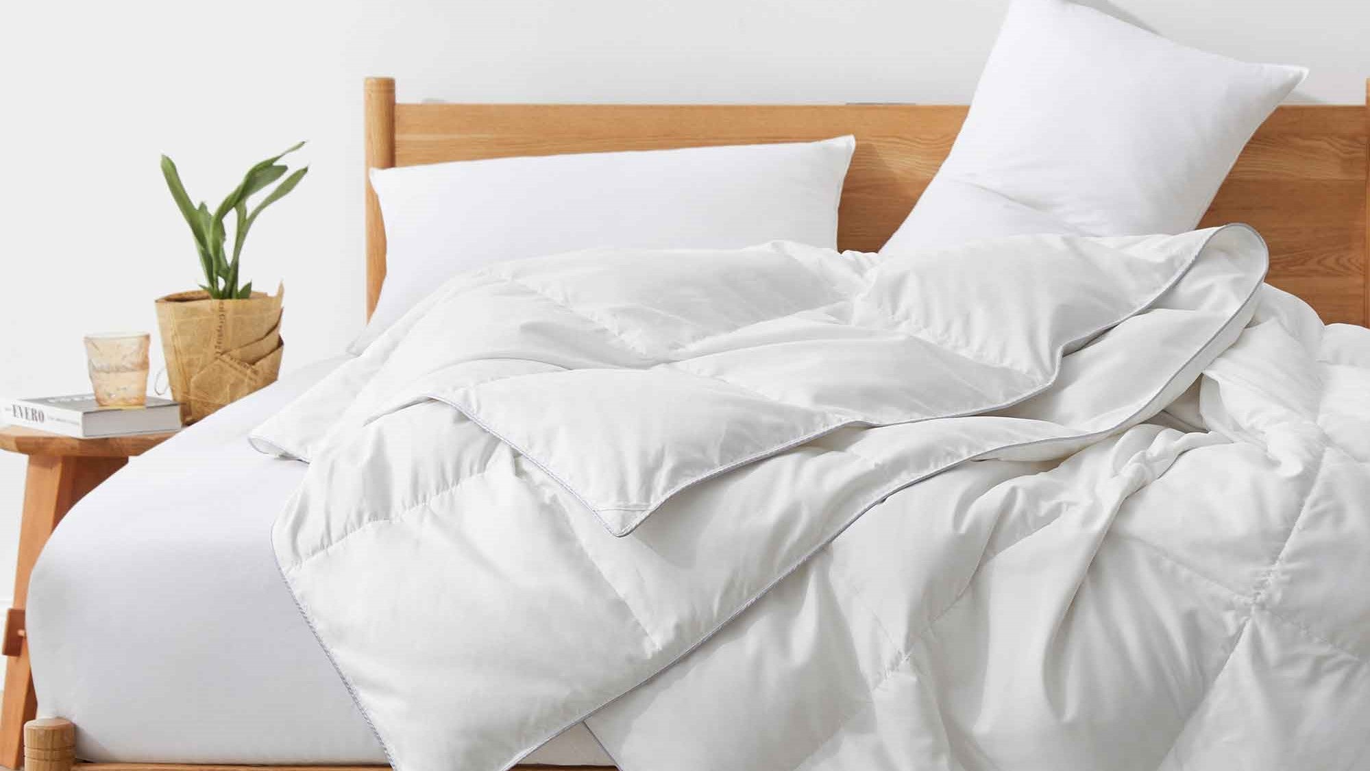 Puredown Picks: Coziest Comforters for 2022