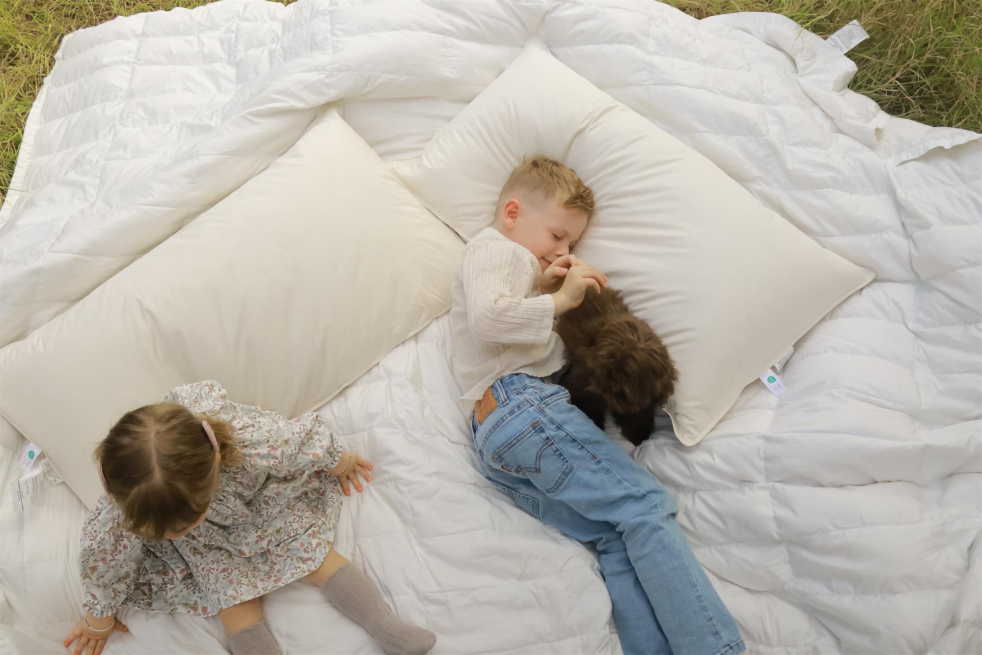 Feather Down Pillows