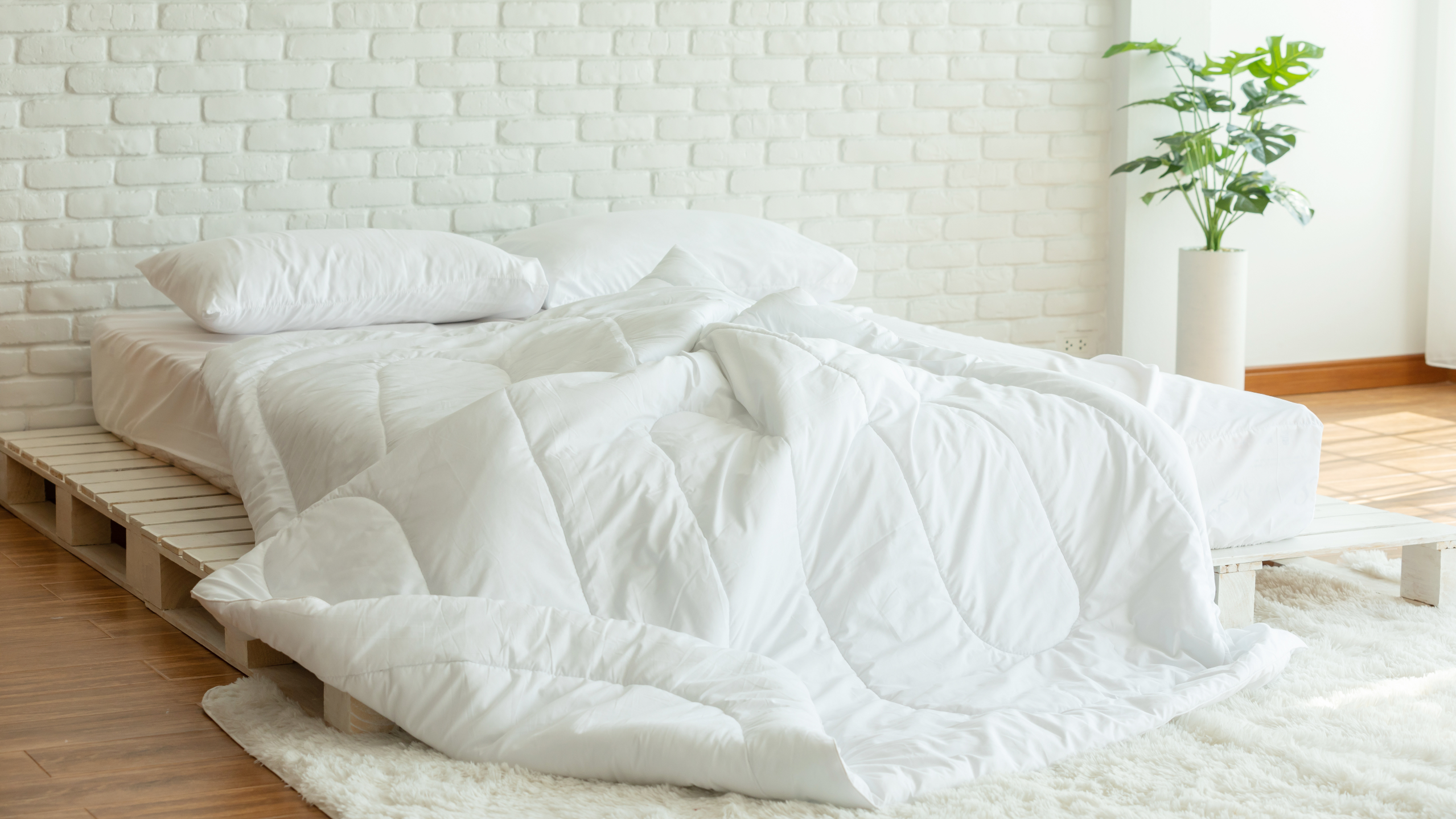 Comforter Sizes 101: Your Ultimate Guide to Finding the Perfect Fit
