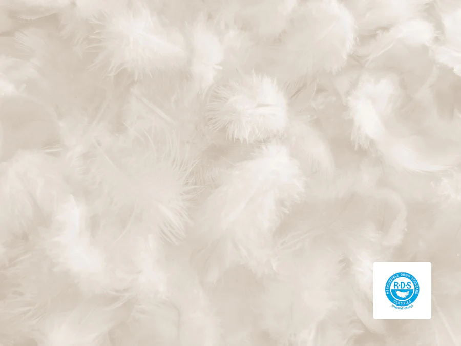 Staying Eco-Friendly: The Sustainability of Down Bedding in Winter