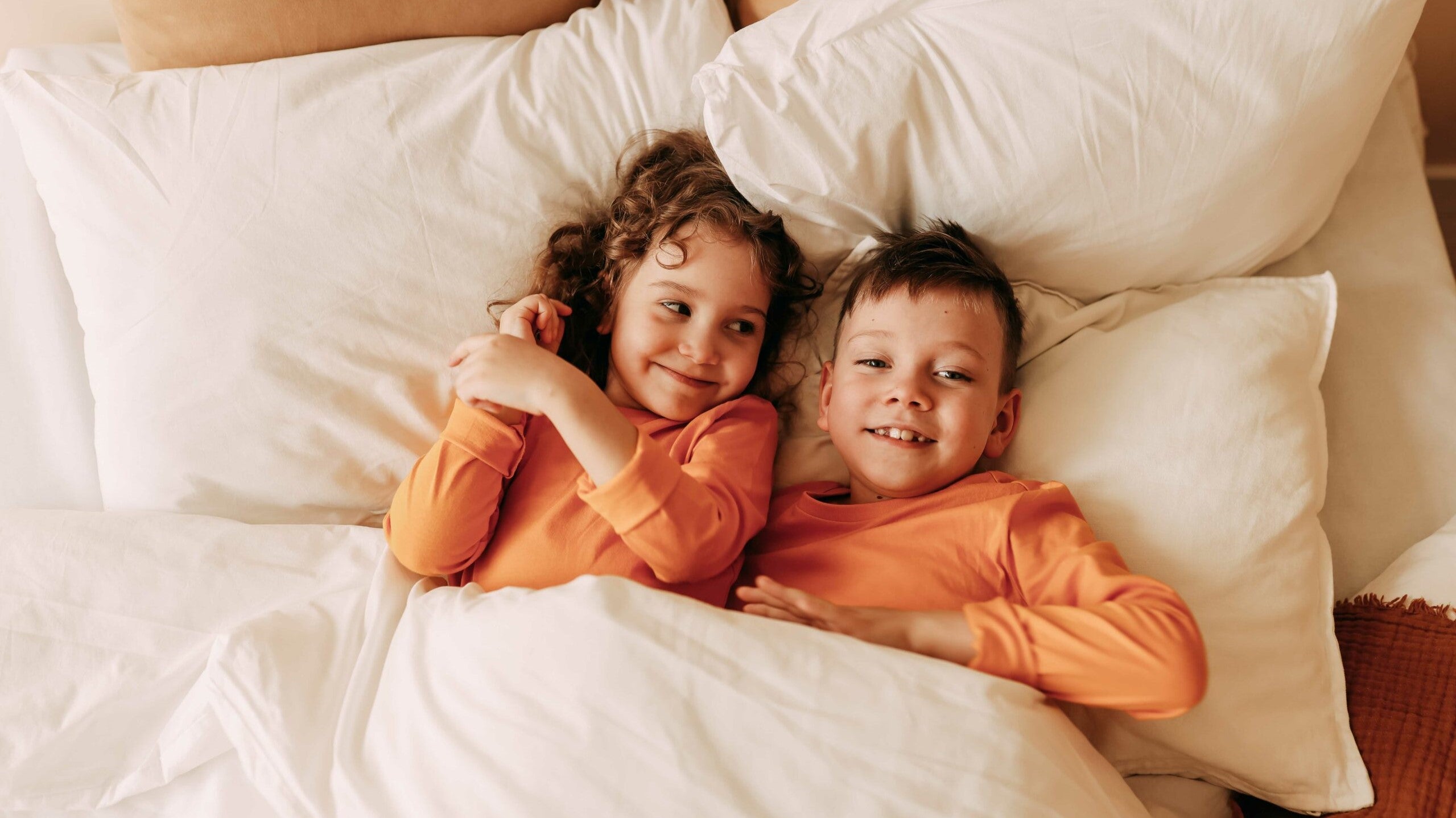 Bring Home the Comfort You Deserve: Made in Germany European Down Pillows