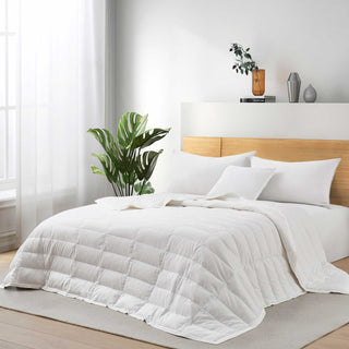a bed with a white blanket and a plant in a room