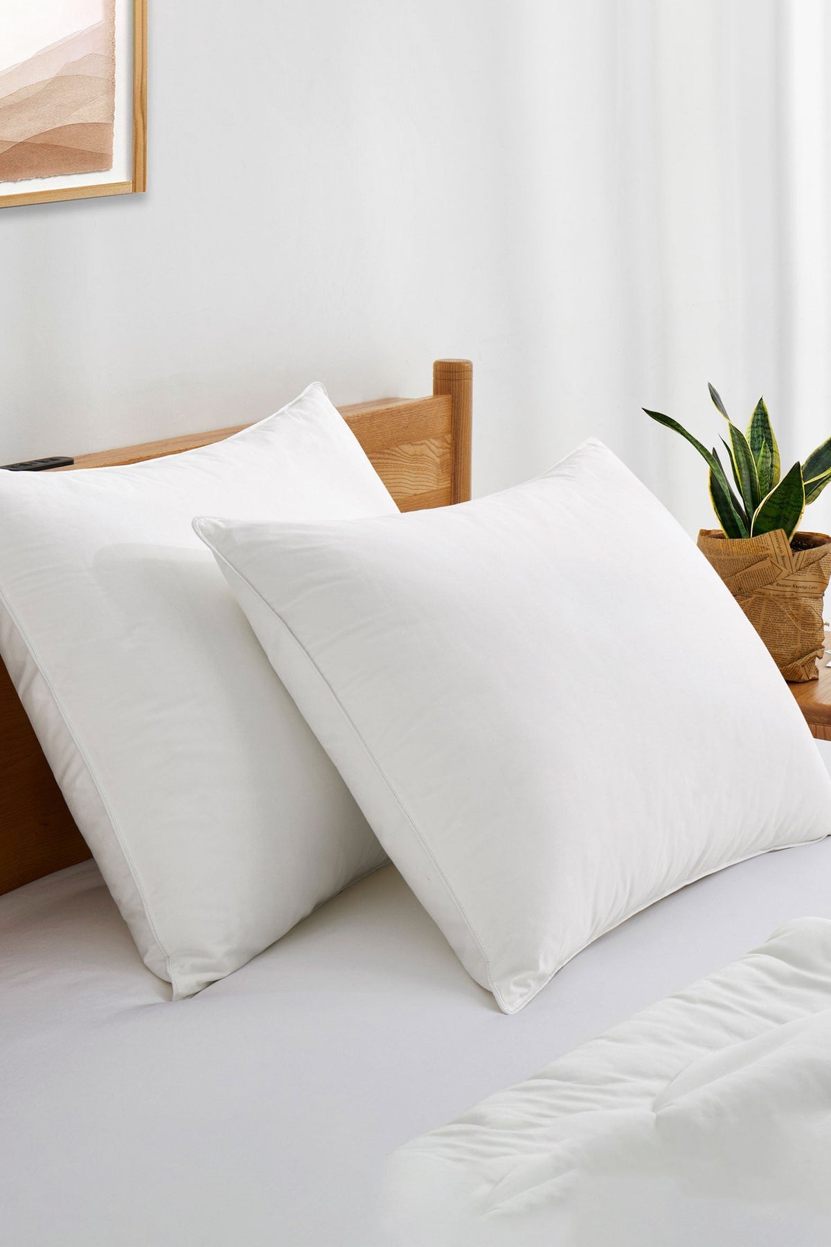 Made in USA Pillows Puredown