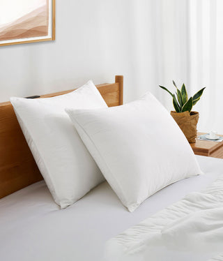 a bed with white pillows and a plant on a table