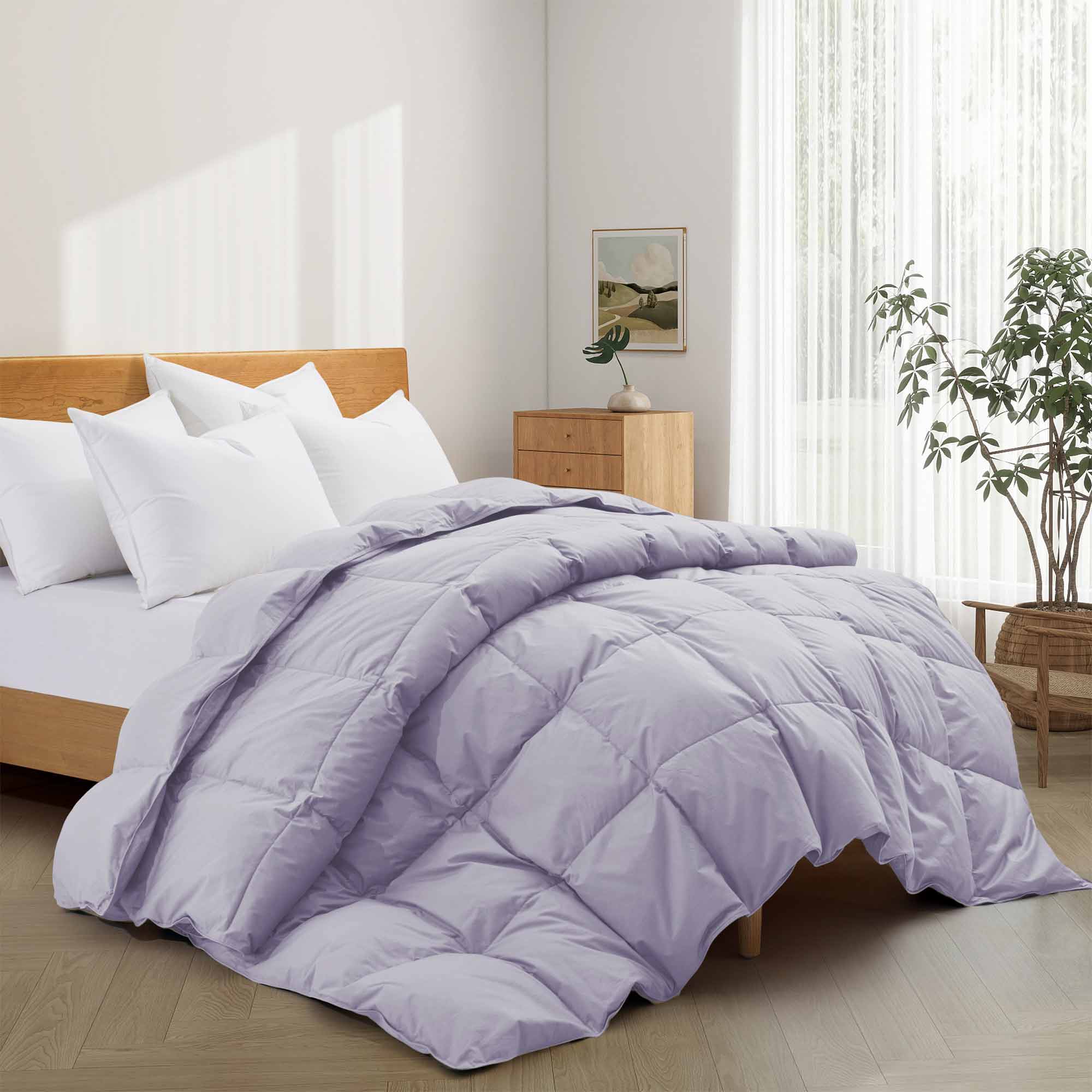 Elevate your sleep sanctuary with the calming elegance of our Lavender Organic Cotton Down Comforter. This soft lavender shade adds a touch of serenity and gentle color to your bedroom, making it a perfect choice for creating a peaceful, spa-like atmosphere. Crafted from 100% GOTS-certified organic cotton and generously filled with down and feather fiber, this comforter is breathable, lightweight, and ideal for all seasons. Whether you're a hot sleeper or need cozy layering in cooler months, its natural ins