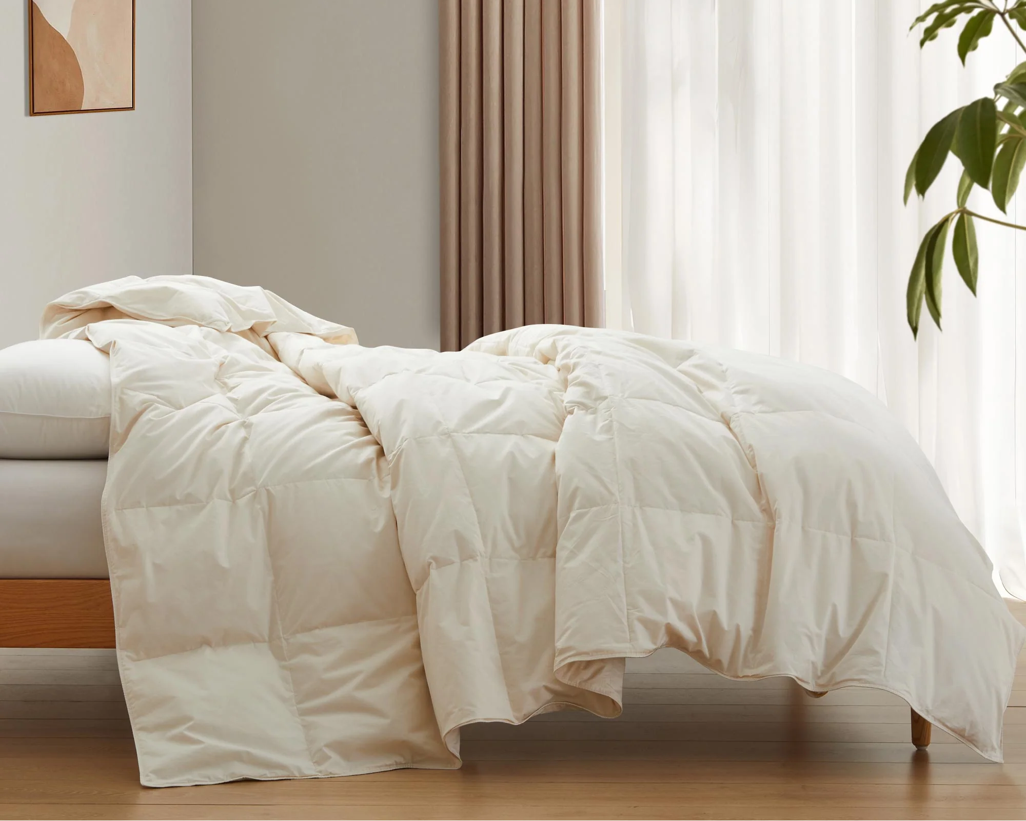 Lightweight Organic Cotton Feather Down Comforter