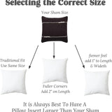 puredown® Feather Throw Pillow Inserts 22 x 22 (Pack of 2, White), Big Throw Pillows for Floor, Couch, Bed, Machine Washable