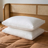 Made in Germany Organic Cotton Down Feather Pillows