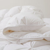 Made in Germany 800 Fill Power Puff Down Comforter
