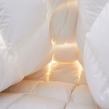 Made in Germany 800 Fill Power European White Down Comforter