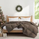 Made in Germany All Season Organic Cotton Down & Feather Comforter