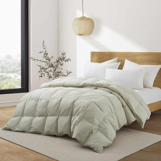All Season Organic Cotton Comforter Filled with Down and Feather Fiber