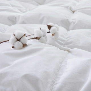 All Season Organic Cotton Comforter Filled with Down and Feather Fiber