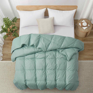 Lightweight Organic Cotton Feather Down Comforter