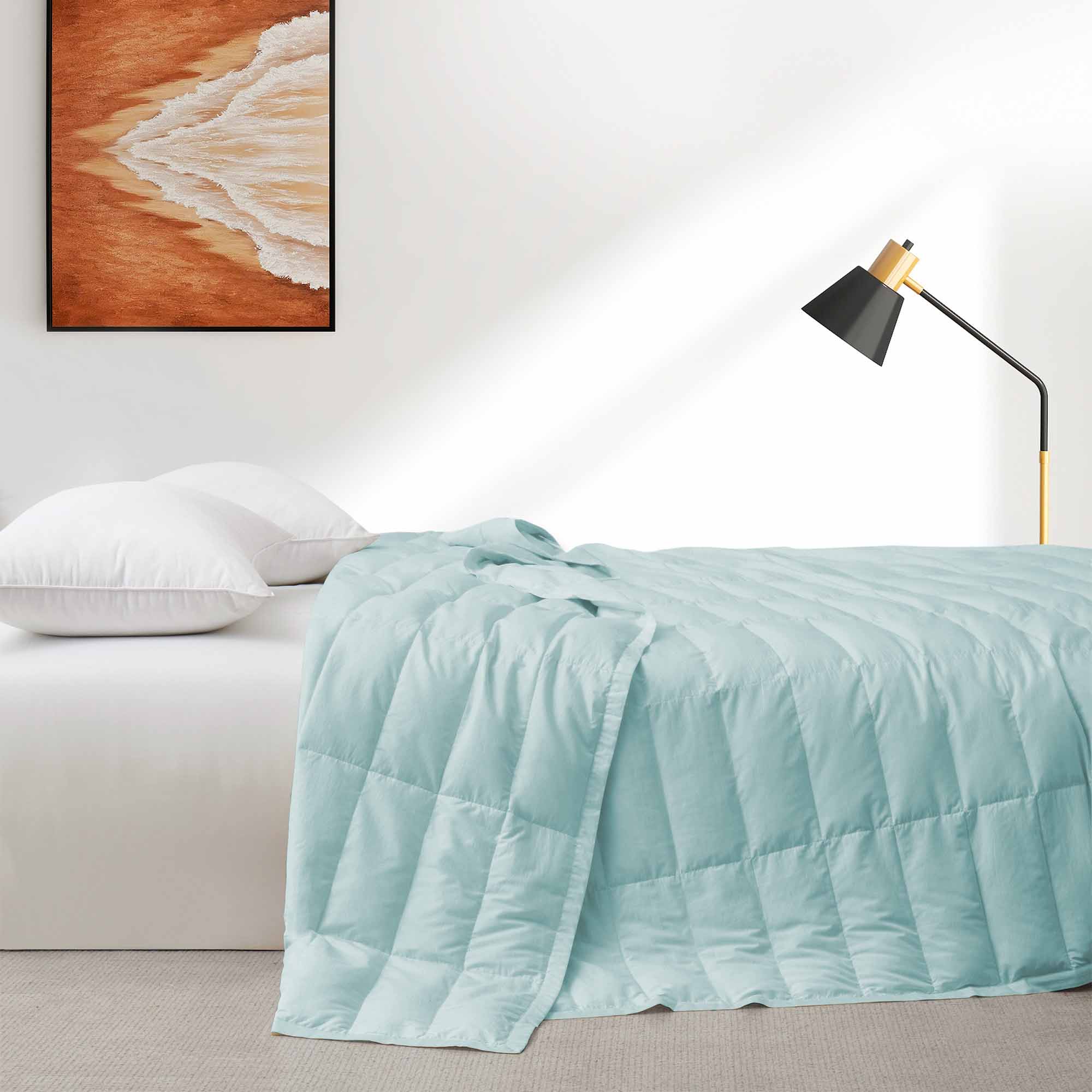 The Puredown Tencel Lyocell comforter comes in the soothing tones of Powder Blue. Welcome the tranquility of the skies to your space with this Tencel Lyocell duvet comforter insert.
