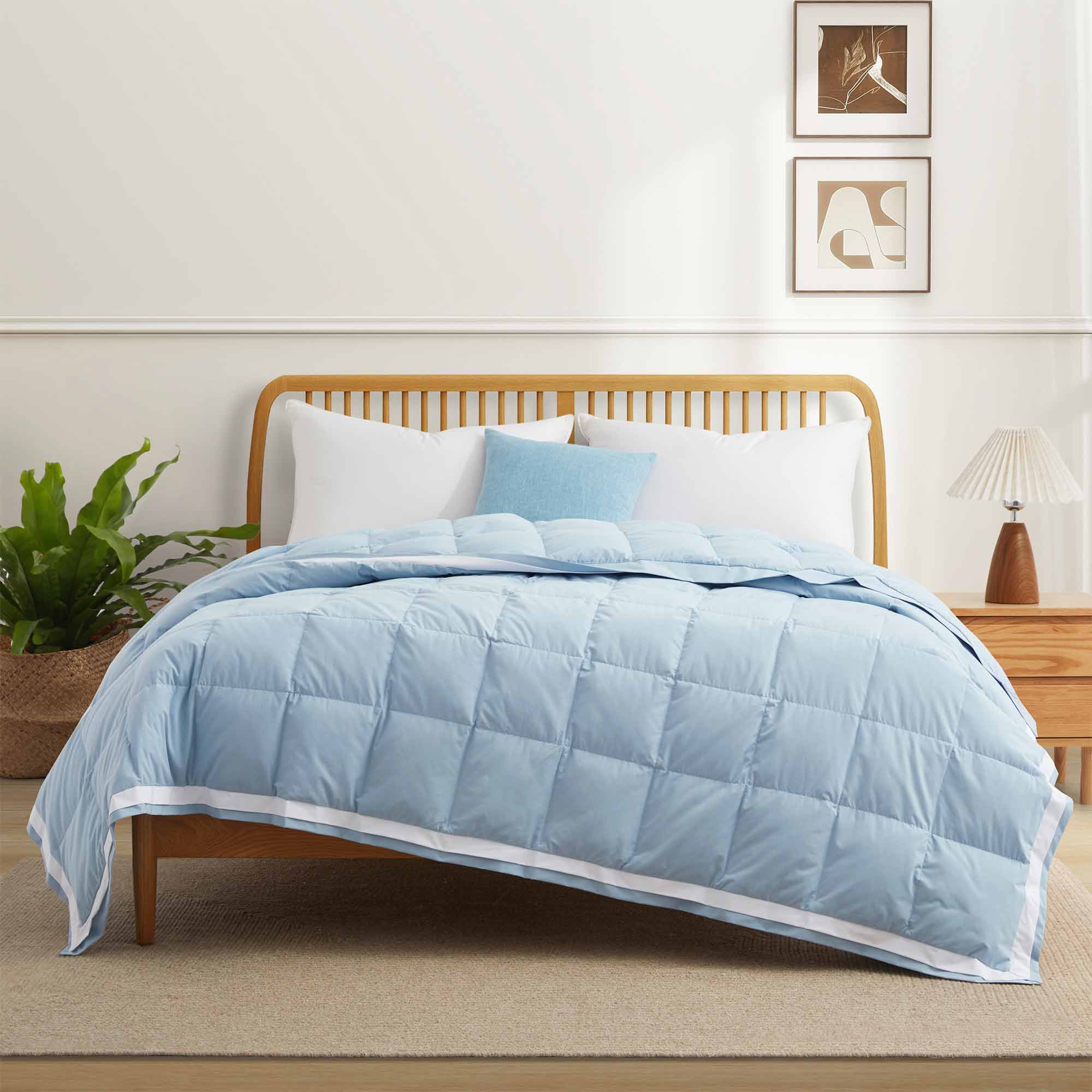 The feather down comforter blanket is enveloped in the airy tones of sky blue with a contrasting white trim. Enhance your bedding with the beauty of the skies with this summer season comforter in sky blue.