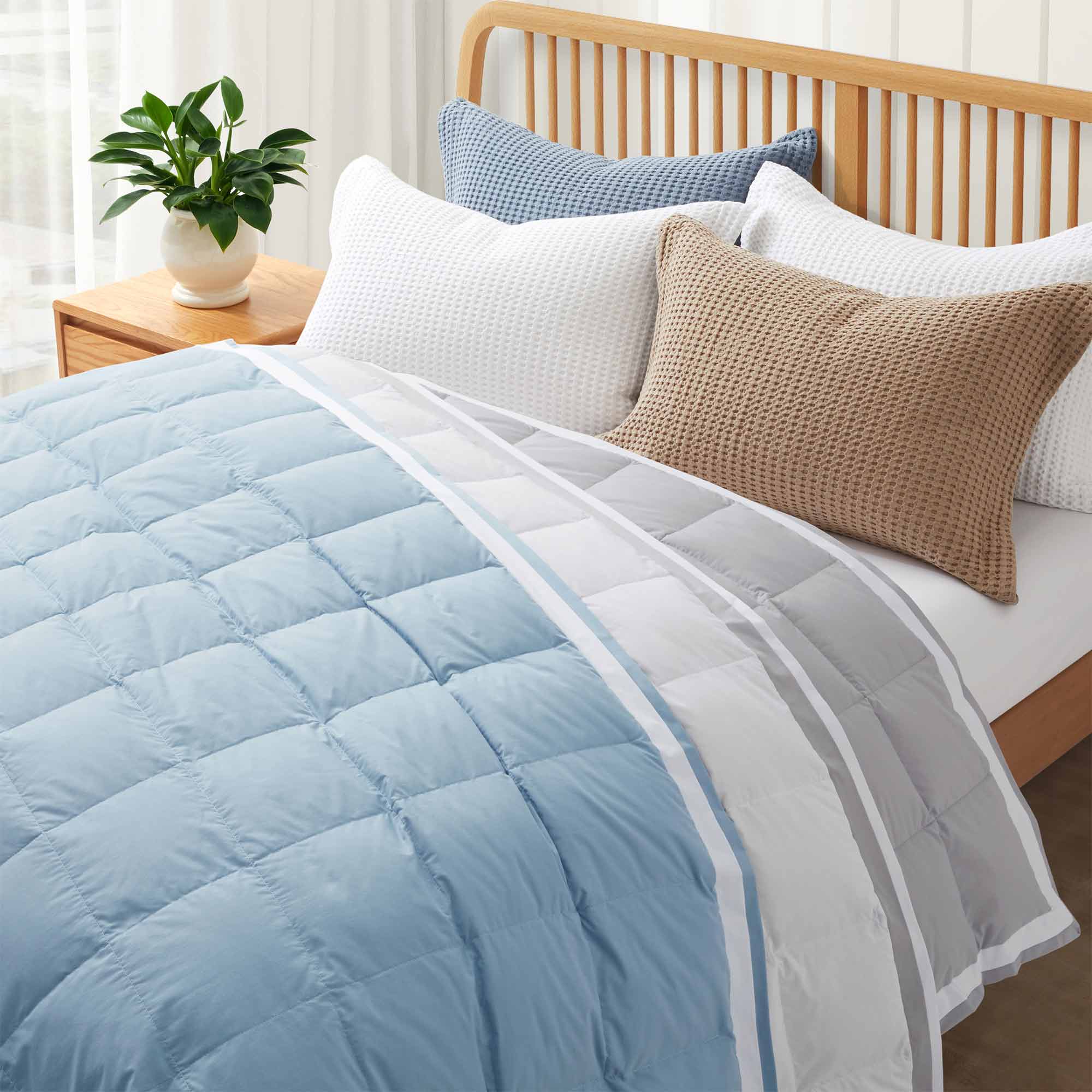 The feather down comforter blanket is enveloped in the airy tones of sky blue with a contrasting white trim. Enhance your bedding with the beauty of the skies with this summer season comforter in sky blue.