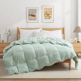 Goose Feather and Down Comforter