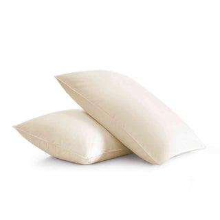 2 Pack White Goose Feather Pillows for Side and Back Sleepers