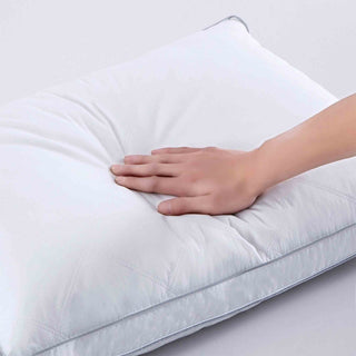 Puredown 2 Pack Natural Goose Down Feather Pillows