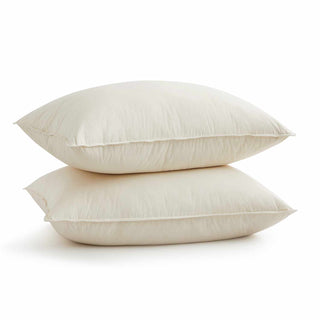 2 Pack Organic Cotton Goose Down Feather Pillows for Back and Side Sleepers, Pillow-in-a-pillow design, 300 TC, 100% Cotton Fabric