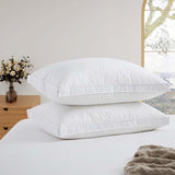 2 Pack Organic Cotton Down Feather Pillows for Back and Side Sleepers