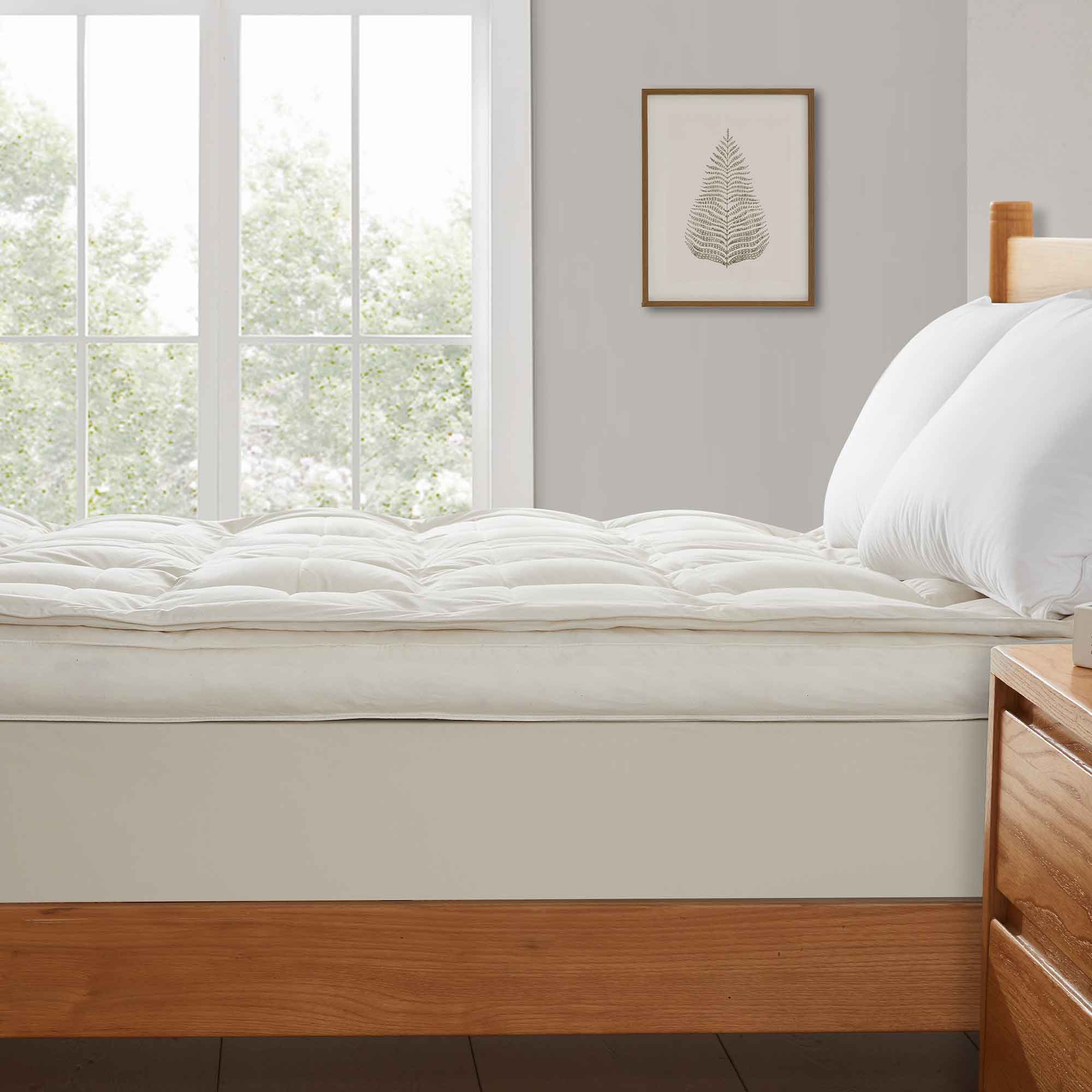 Pillowtex Essential Bedding Package | All Season Comforter with Matching  Pillows