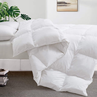 This all-size comforter is brushed in the pleasing color of white. Incorporate contemporary home trends and give your room a fresh makeover with our exquisite range of white duvet insert comforters.