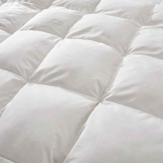 3-in-1 All Seasons Goose Down Feather Fiber Comforter