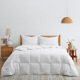 Year-round & Lightweight White Goose Down Duvet Insert Comforter