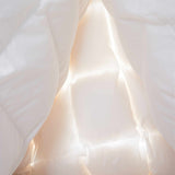 Made in Germany 800 Fill Power Goose Down Comforter