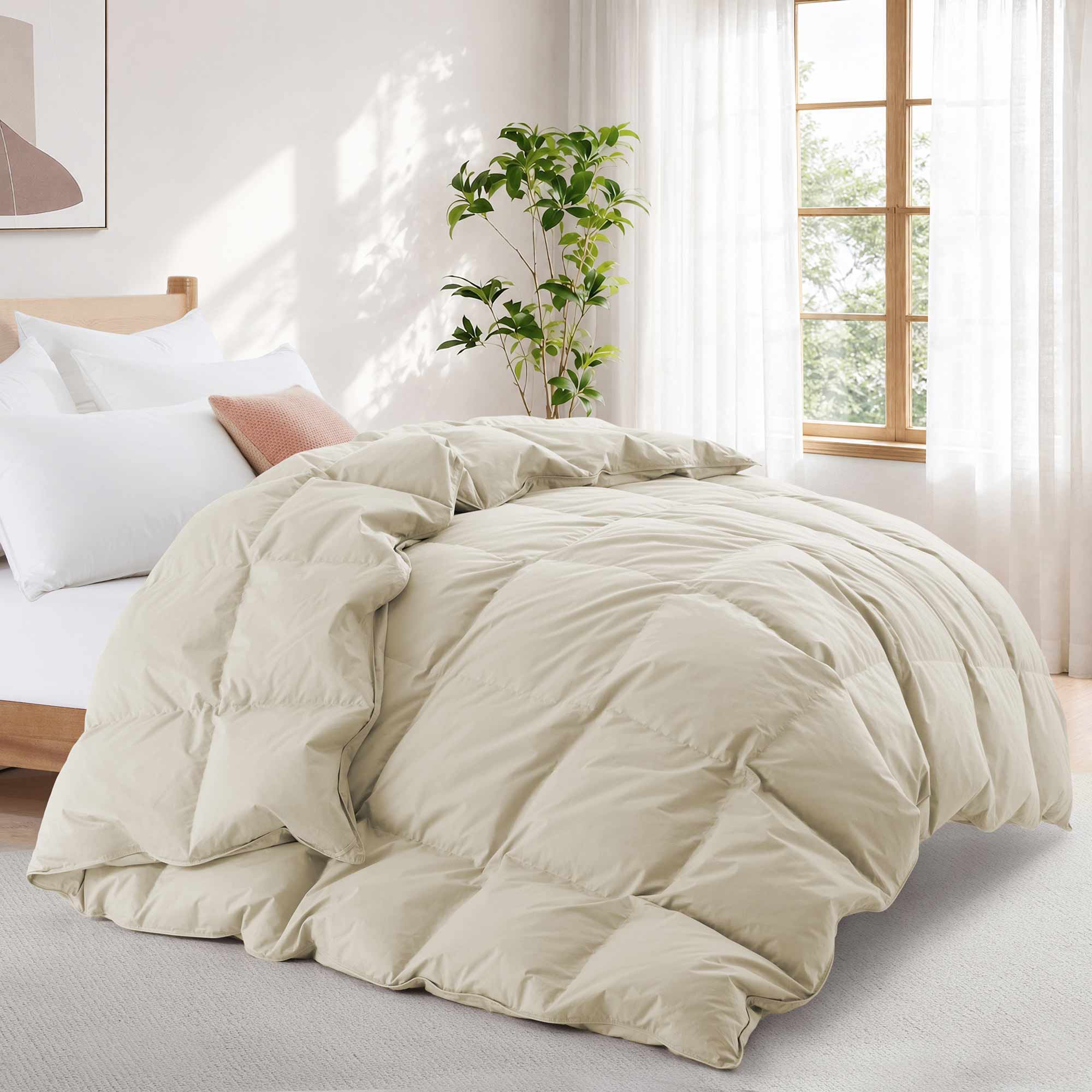 A Premium Goose Feather Comforter on the bed in a bright, cozy bedroom with a large window, a plant, and soft natural light.