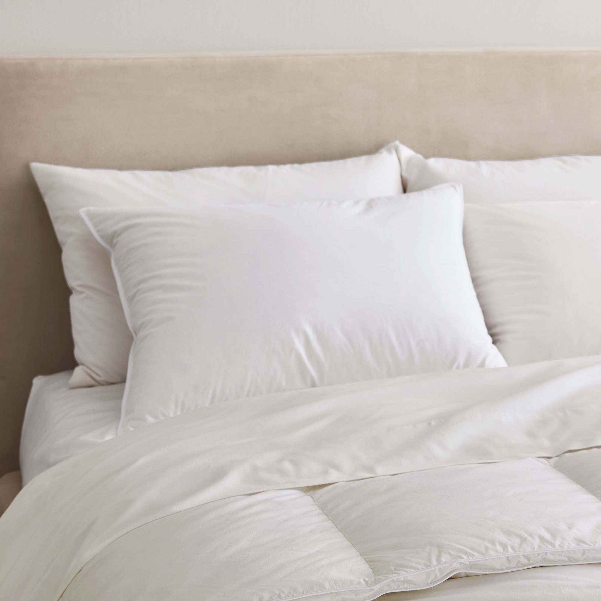 Made with down in pillows with feathers, this german down feather pillow is covered in crisp white hues. Add a touch of classic intrigue to your bedspace with this down feather pillow in white.
