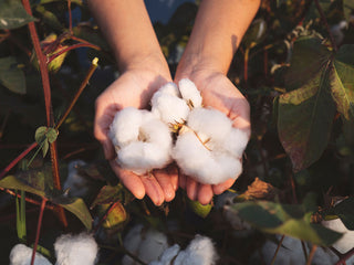 a person holding a bunch of cotton