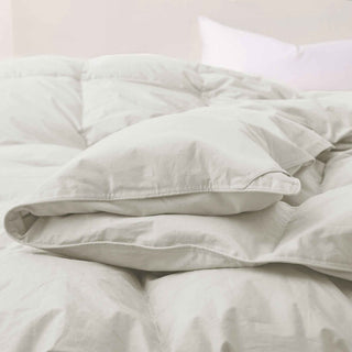 All Season Organic Cotton Comforter Filled with Down and Feather Fiber