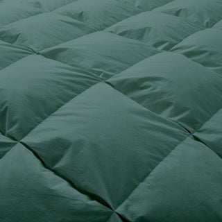 The feather down comforter is brushed in medium tones of forest green. Add a natural element to your bedroom style with this green color medium weight comforter.